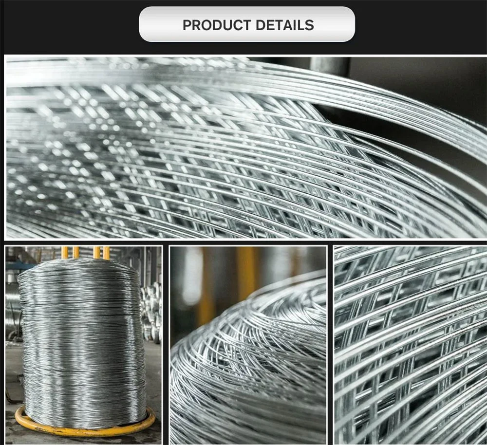 Hot Dipped Zinc Coated Cable Galvanized Steel Wire for Manufuacturing Building Packaging